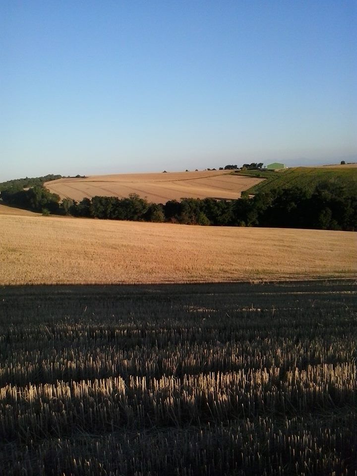 TERRAINS D'ENTRAINEMENT 